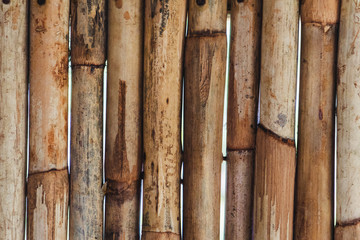 bamboo background. wooden bamboo wall