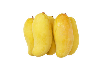 Mahachanok mango isolated on white background.