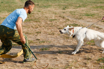 The instructor conducts the lesson with the white Swiss shepherd dog