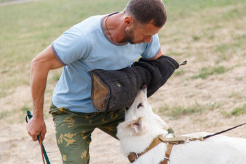 The instructor conducts the lesson with the white Swiss shepherd dog