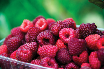 Freshly picked raspberries in crates and glasses on multi-colored backgrounds
