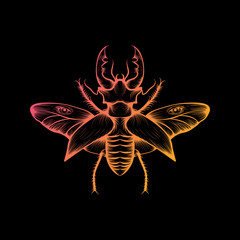 Orange and yellow gradient stag beetle drawing