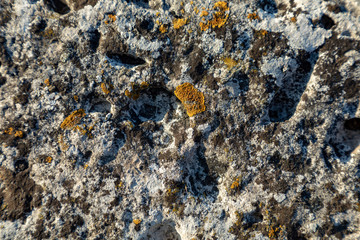 Christchurch, Dorset, England