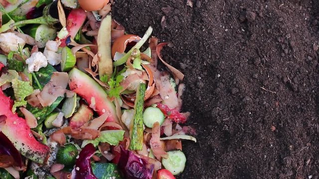 Kitchen Scraps. Organic Waste Composting. Compostable food scraps are one of the best and readily available sources of organic materials for home composting