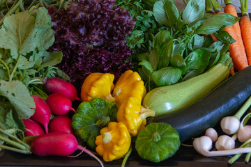 set of early summer vegetables