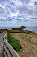 Knobbies Boardwalk vert