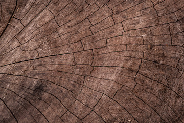 Naklejka premium Natural Cracked Wood Texture