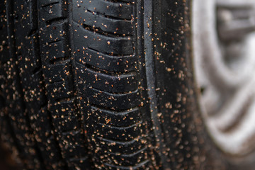 Wet and soiled car tire after driving in the rain