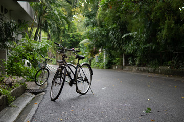 Fototapeta na wymiar Bicycle in a park