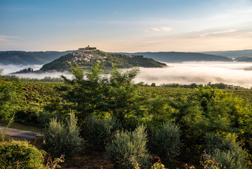 Motovun in Istrien an einem Sommermorgen von hellen Wolken umgeben