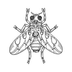 Mechanical fly animal engraving vector