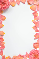 Fototapeta premium frame of rose petals on white background