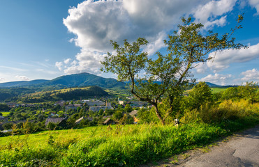 tree on the hill above the town in valley. beautiful mountainous countryside weekend. wonderful weather in early autumn