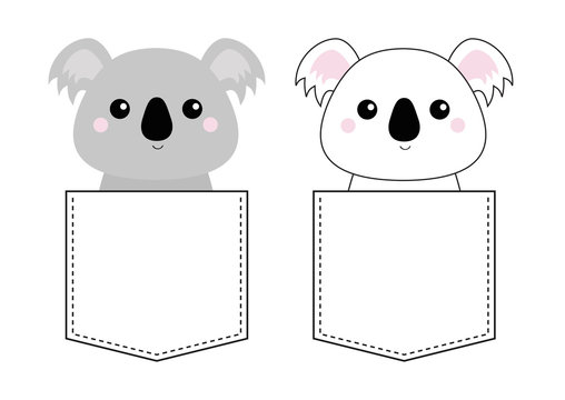 Koala bear set head face sitting in the pocket. Doodle linear sketch. Cute cartoon character. T-shirt design. Dash line. Pet animal. White gray color. Baby background. Flat design