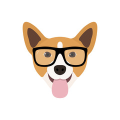 Corgi Dog in fashions glasses. Funny dog icon. Vector illustration.