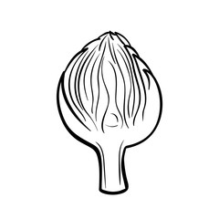 Vector hand drawn illustration of an artichoke. Outline doodle icon. Food sketch for print, web, mobile and infographics. Isolated on white background element.