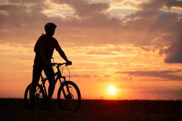 Fototapeta premium Silhouette of a bicyclist traveling on a sunset background on the road to the field