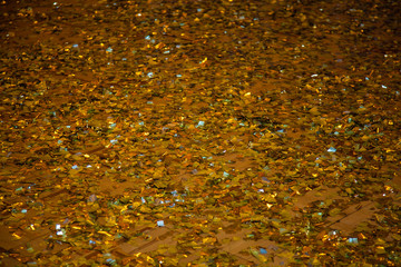 Golden sequins on floor. Background