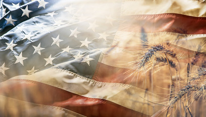 Ripe wheat cobs at sunset with american flag in the background