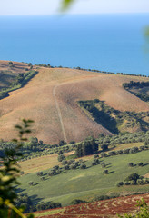 Panoramic view of olive groves and farms on rolling hills of Abruzzo and in the background the Adriatic Sea. Italy