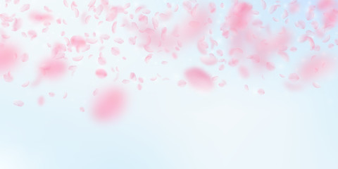 Sakura petals falling down. Romantic pink flowers gradient. Flying petals on blue sky wide backgroun