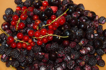 Pile of fresh delicious berries: black raspberry, black and red currant