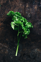 Parsley ready to cook. Rustic background