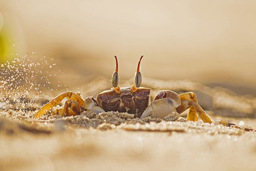 Image clicked at Pingleshwar beach, Kutch, Gujarat, India.