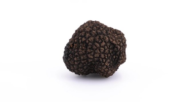 Black truffle on white background, filmed in 4K (loopable)
