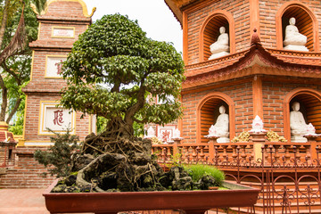 Travel and Tourism In Vietnam