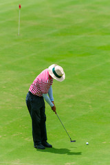 Fototapeta premium Golfer putting at the green