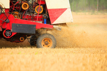 combine harvester working