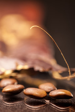 raw seeds with fibre of Gleditsia triacanthos