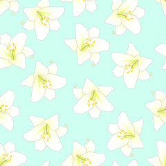 Fototapeta na wymiar White Lily on Green Mint Background