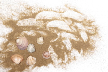 Obraz na płótnie Canvas Sea shells in sand pile isolated on white background, top view