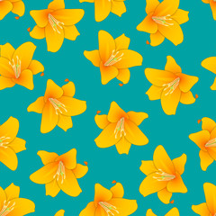 Orange Lily on Green Teal Background