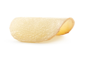 potato isolated on white background