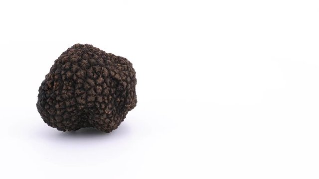 Black truffle isolated on white background, copy-space, filmed in 4K
