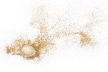 Sea shells in sand pile isolated on white background, top view