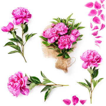Fototapeta Peony flowers, petals and bouquet