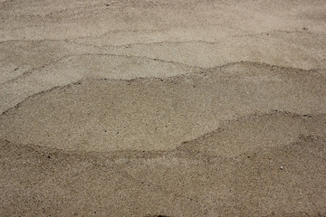 Brown wet sand texture on the beach of Lake Baikal. Sandy floor with lines of waves, summer vacation background with place for text