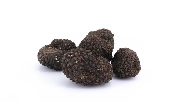 Black truffles isolated on white background, filmed in 4K (loopable)