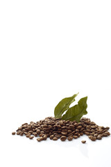 Coffee beans with coffee leaves