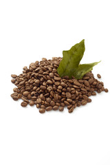 Coffee beans with coffee leaves