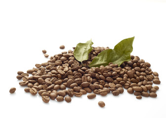 Coffee beans with coffee leaves