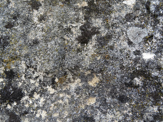 Old dirty stone covered with lichen and moss. Beautiful natural stone texture