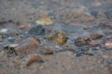 stone