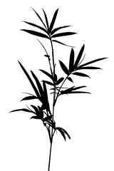 Naklejka premium tige de bambou noir, fond blanc