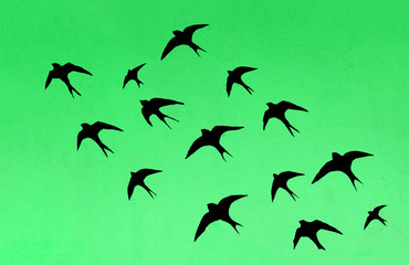 Silhouettes of many swallows