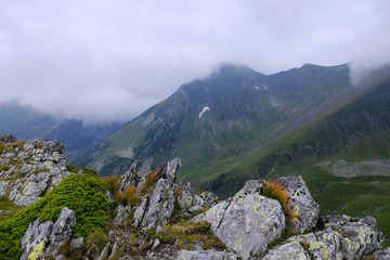 Rumunia, Karpaty Rumuńskie - Góry Fagaras, widok ze skałami na szlaku w Górach Paltinu © Iwona